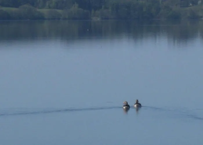 Ved Vandet Skanderborg